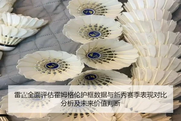 雷霆全面评估霍姆格伦护框数据与新秀赛季表现对比分析及未来价值判断